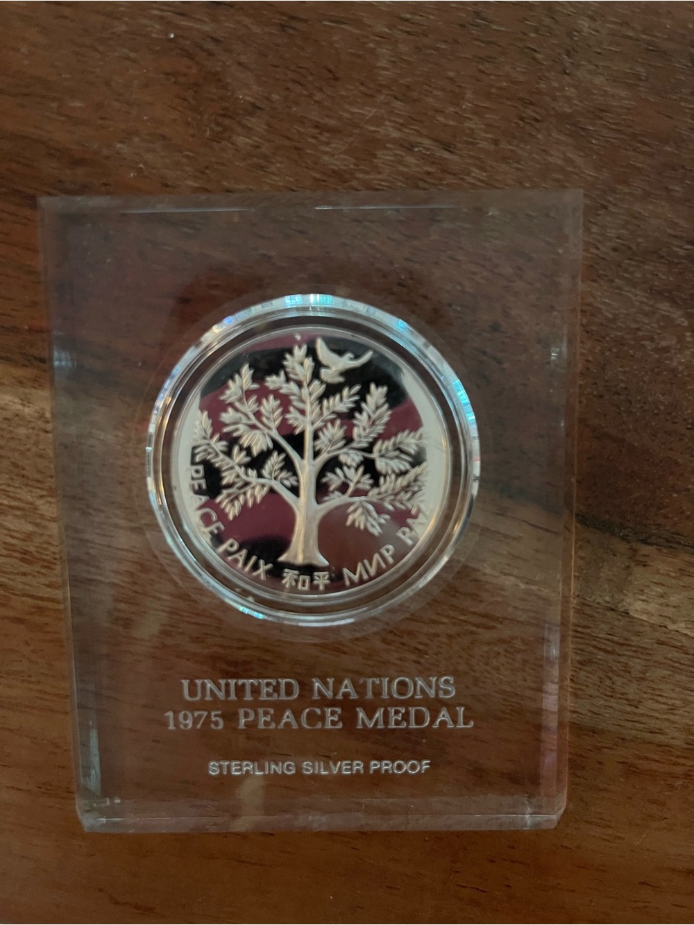 United Nations 1975 Peace Medal Sterling Silver Proof - Silver